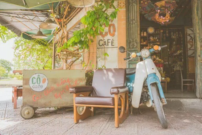 Cỏ cafe (Ảnh: Internet)