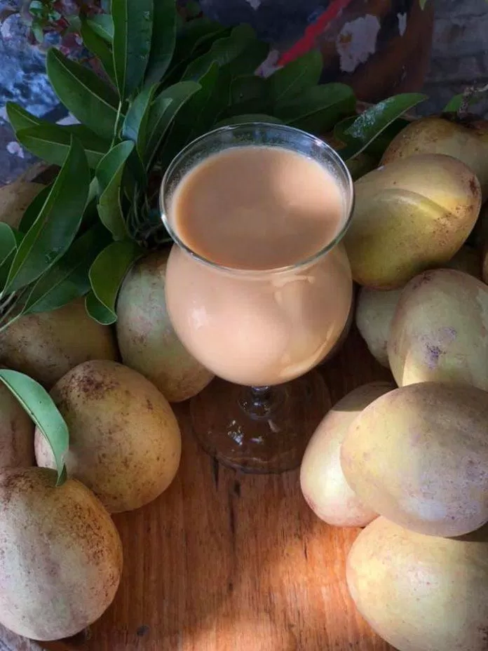 Cỏ cafe (Ảnh: Internet)
