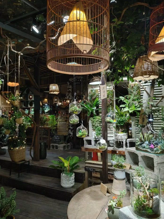 Cú Trên Cây Coffee (Ảnh: Internet)