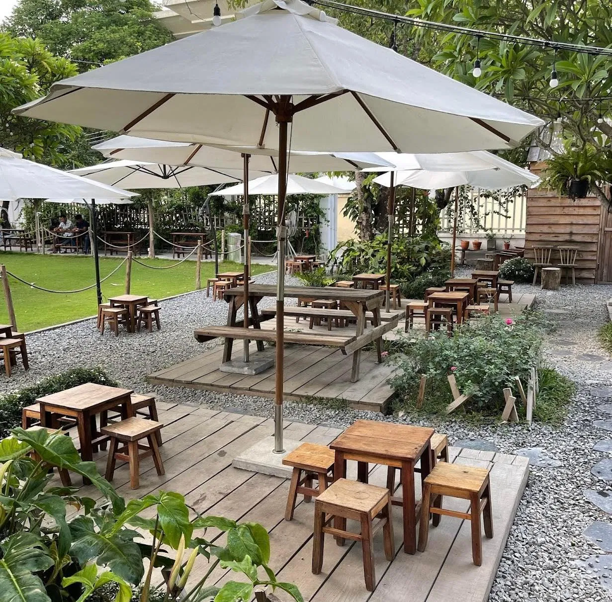 DREAMER. (Nguồn ảnh: Internet)