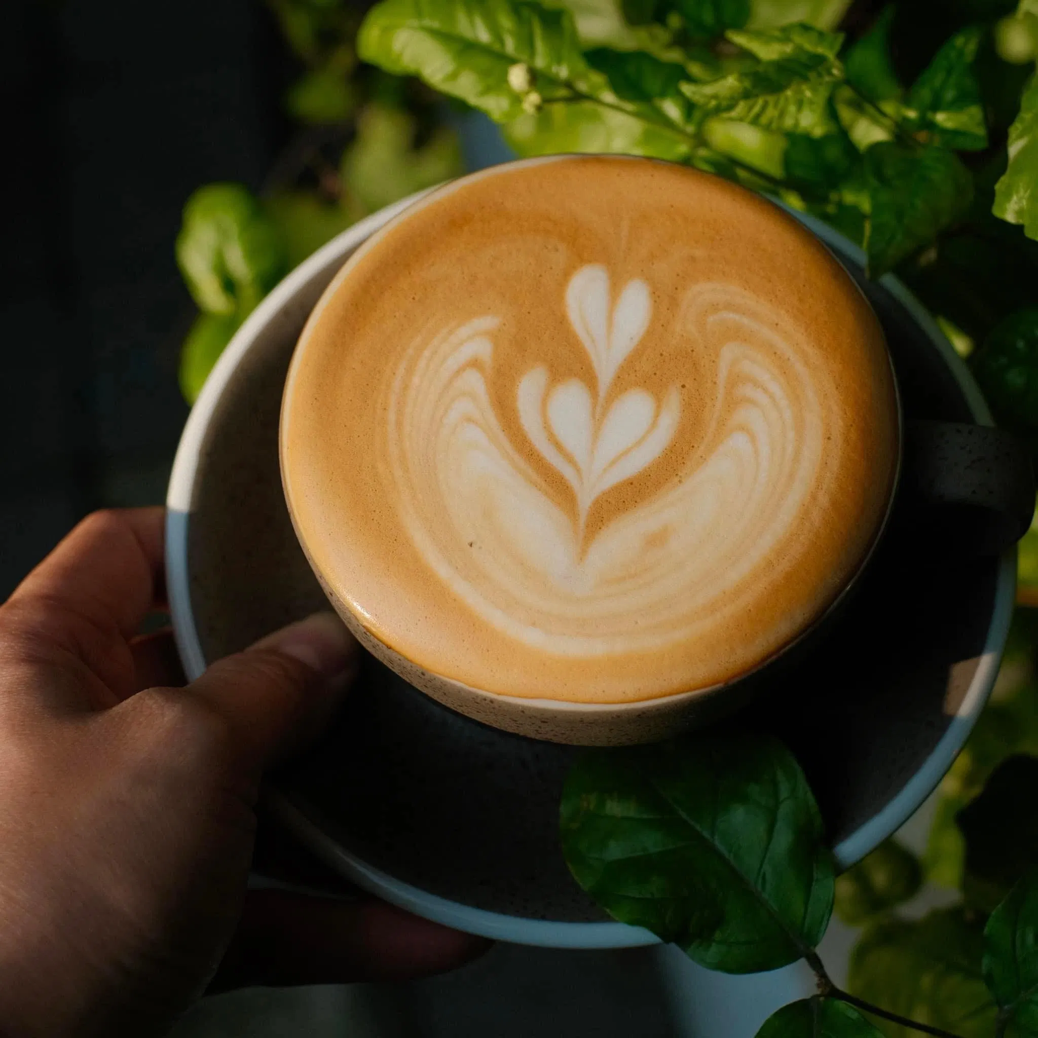 Àla Cafe. (Nguồn ảnh: Internet)