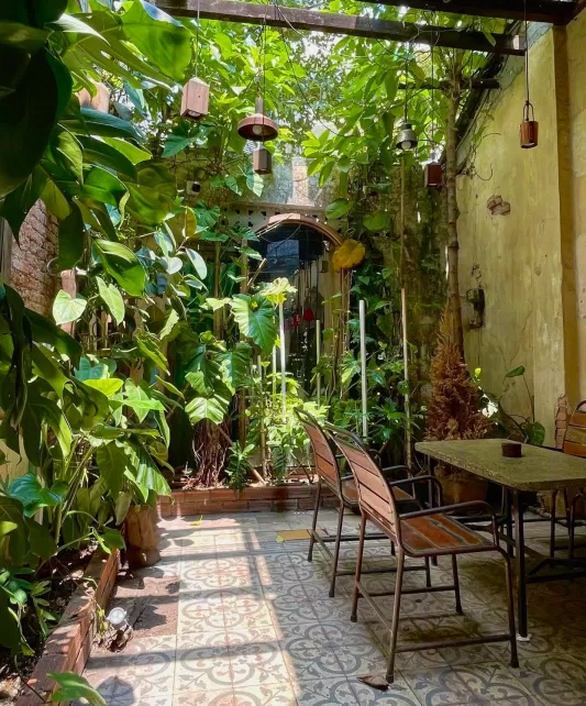 Barista Collective (Nguồn ảnh: Internet)