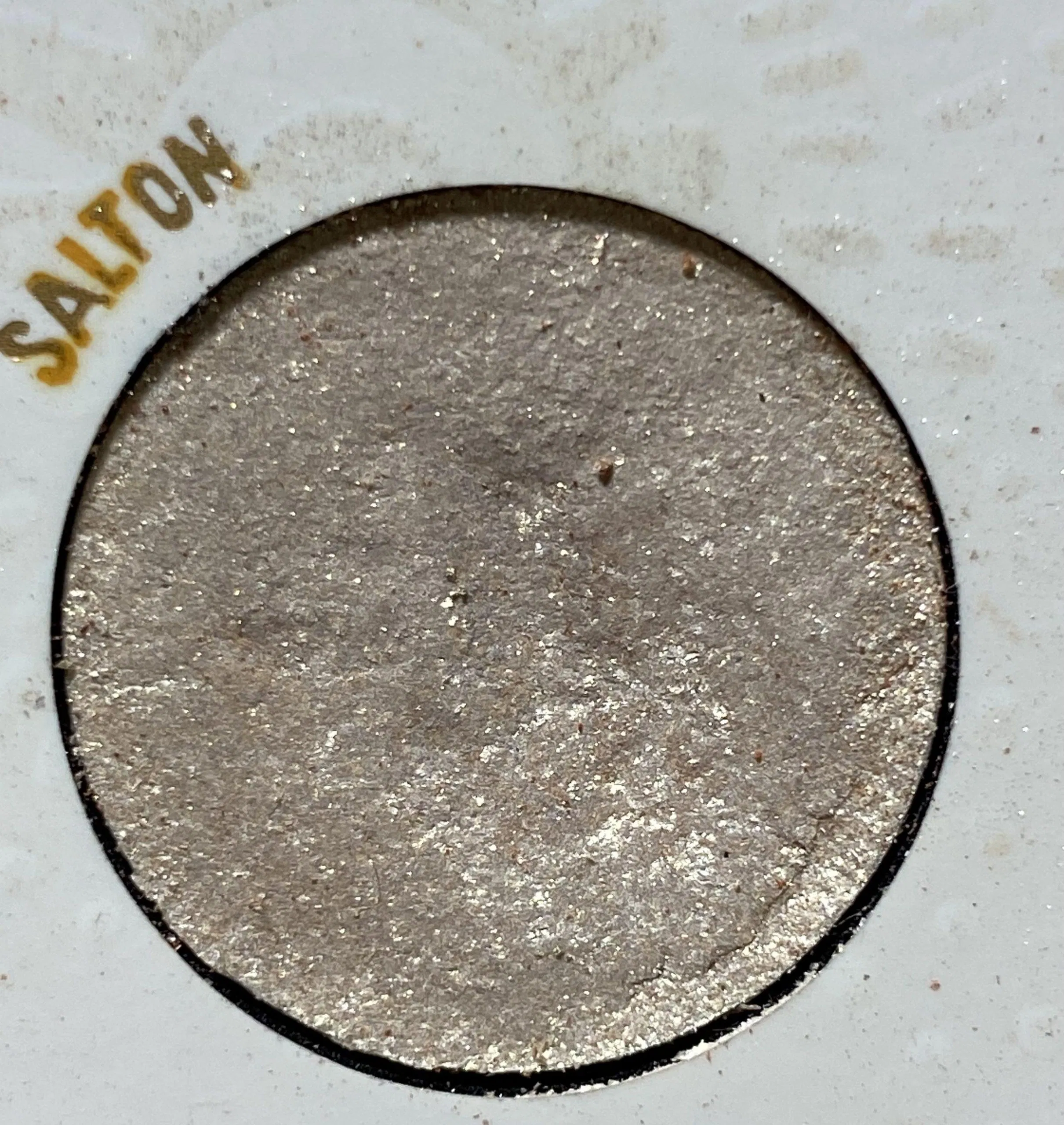 Màu Salton Colourpop Wild Nothing Eyeshadow Palette (nguồn: Minh Như)