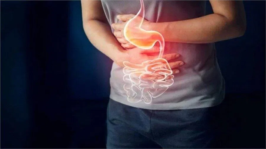 Sự suy giảm cơ do lão hóa cũng làm suy yếu các cơ của đường tiêu hóa (Nguồn: Internet).