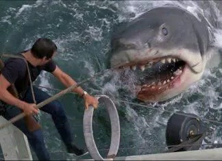 Jaws (Ảnh: Internet)
