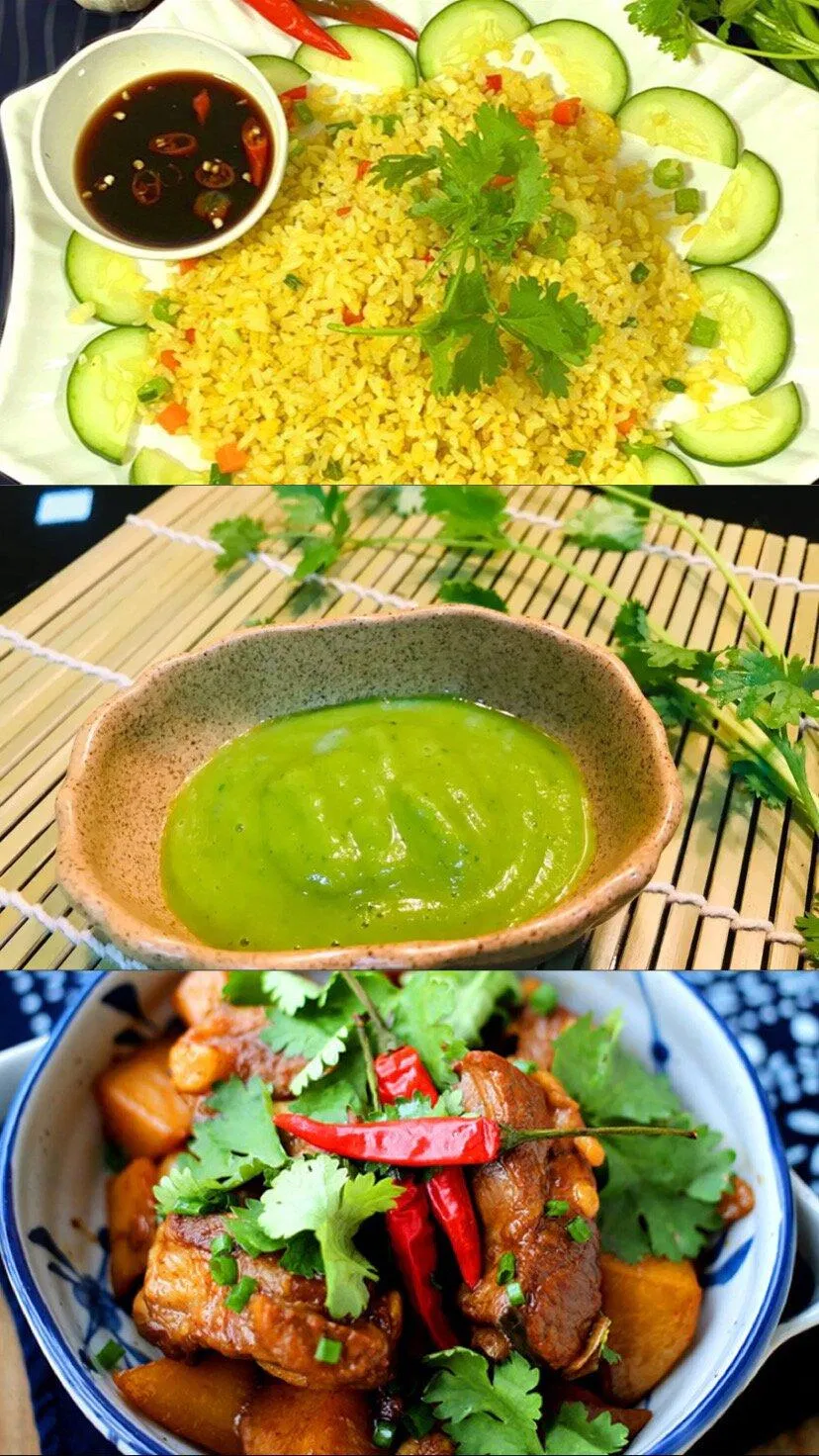 Ngoài công dụng trang trí cho món ăn thêm phần bắt mắt, ngò rí còn có thể được sử dụng để làm các loại sốt hoặc làm tăng thêm hương vị cho món ăn (nguồn: Internet) Ngoài công dụng trang trí cho món ăn thêm phần bắt mắt, ngò rí còn có thể được sử dụng để làm các loại sốt hoặc làm tăng thêm hương vị cho món ăn (nguồn: Internet)