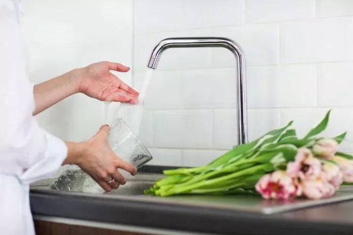 Cách giữ hoa tươi lâu, pha nước cắm hoa giúp hoa tươi lâu cả tuần. (Ảnh: Internet)
