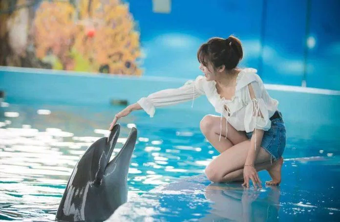Baara Land Hà Nội (Ảnh: Internet) Baara Land Hà Nội (Ảnh: Internet)