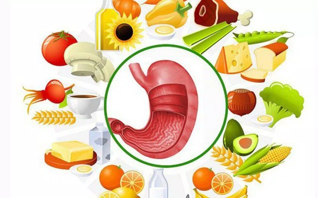 Dinh dưỡng cho bệnh nhân sau phẫu thuật cắt dạ dày do bệnh lý (Nguồn: Internet)