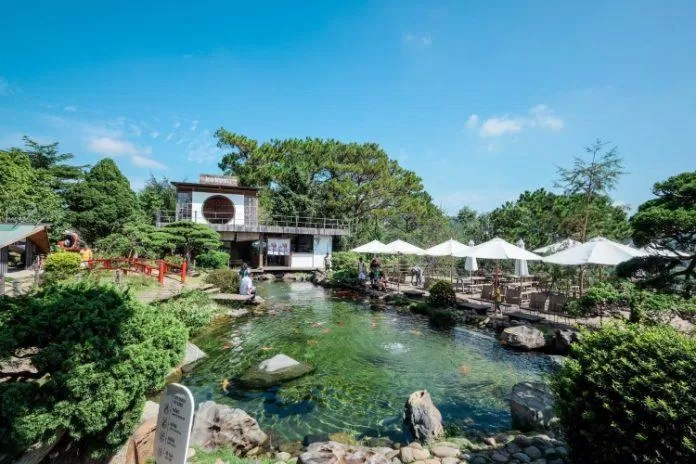 Kokoro Cafe(Ảnh: internet) Kokoro Cafe(Ảnh: internet)
