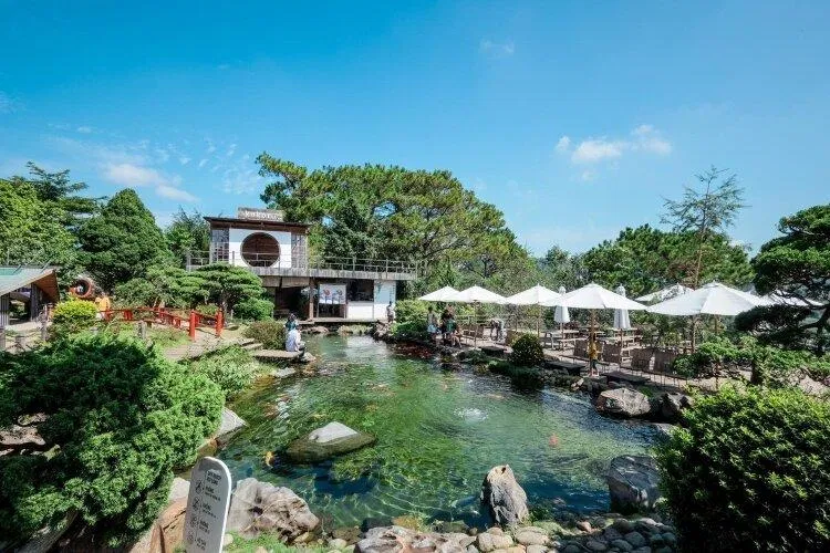 Kokoro Cafe(Ảnh: internet) Kokoro Cafe(Ảnh: internet)