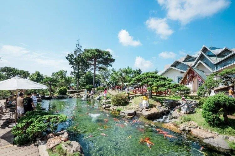 Kokoro Cafe(Ảnh: internet)