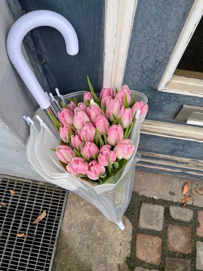 Hình nền hoa tulip cho máy tính (Ảnh: Internet)