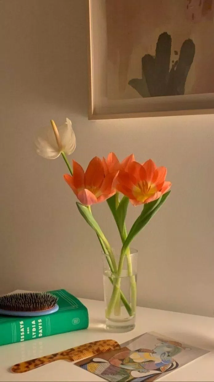 Hình nền hoa tulip chill đẹp ấn tượng (Ảnh: Internet)
