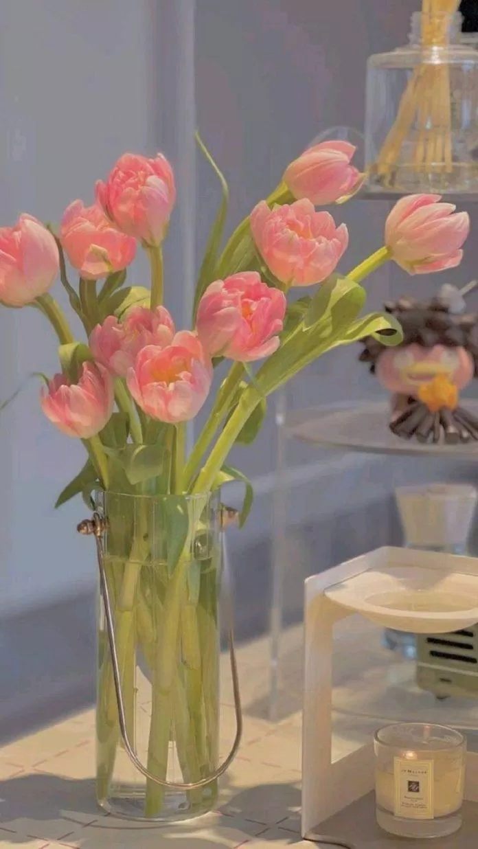 Ý nghĩa hoa tulip là gì? 999 hình nền hoa tulip chill, đẹp nhất trên Pinterest ấn tượng điện thoại hình nền hình nền hoa tulip hình nền hoa tulip chill hoa tulip hoa tulip hình nền máy tính sang trọng sự thật sự thật thú vị thanh lịch thú vị
