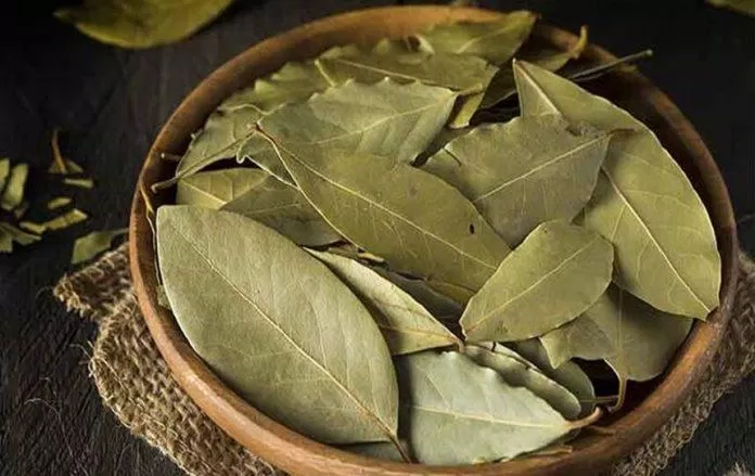 Lá nguyệt quế không chỉ dùng để làm gia vị mà còn mang một mùi hương nhẹ nhàng, giúp bạn giải tỏa căng thẳng (nguồn: Internet) Lá nguyệt quế không chỉ dùng để làm gia vị mà còn mang một mùi hương nhẹ nhàng, giúp bạn giải tỏa căng thẳng (nguồn: Internet)