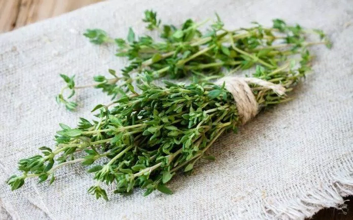 Xạ hương không chỉ được sử dụng để làm gia vị mà còn được dùng như “liều thuốc tiên” (nguồn: Internet) Xạ hương không chỉ được sử dụng để làm gia vị mà còn được dùng như “liều thuốc tiên” (nguồn: Internet)