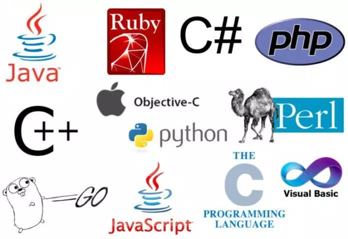 Có rất nhiều ngôn ngữ lập trình đã được tạo ra (Ảnh: Internet)
