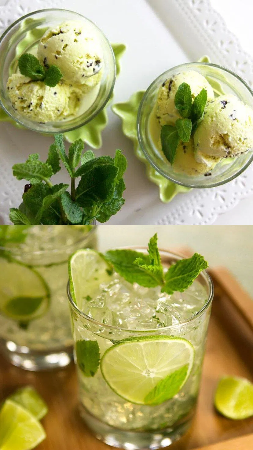 Lá bạc hà được sử dụng để chế biến nhiều món ăn khác nhau, nhất là các món tráng miệng và nước uống (nguồn: Internet) Lá bạc hà được sử dụng để chế biến nhiều món ăn khác nhau, nhất là các món tráng miệng và nước uống (nguồn: Internet)