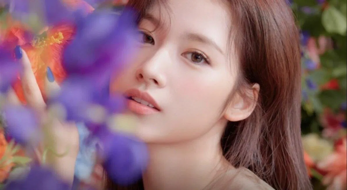 Sana (Ảnh: Internet)