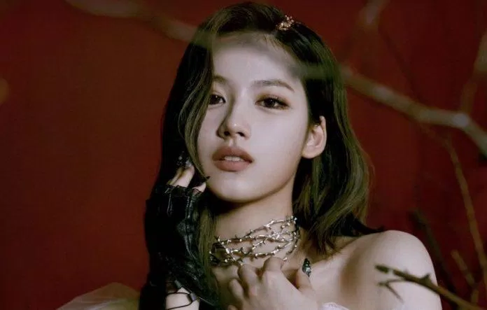 Sana (Ảnh: Internet)