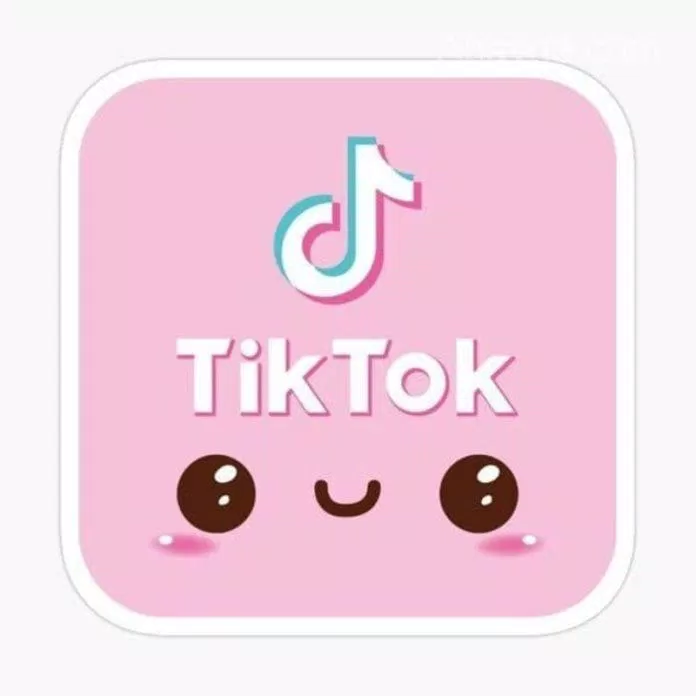 Tên Tiktok cho nữ bằng tiếng Nhật (Ảnh: Internet)