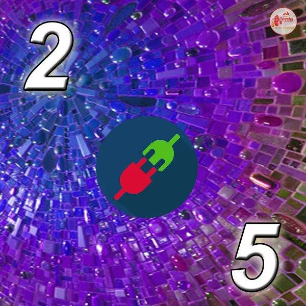 Số chủ đạo 2 không hợp với số 5 (Ảnh: Internet)