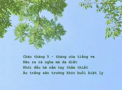 Thơ về mùa hạ hay nhất. (Ảnh: Internet)
