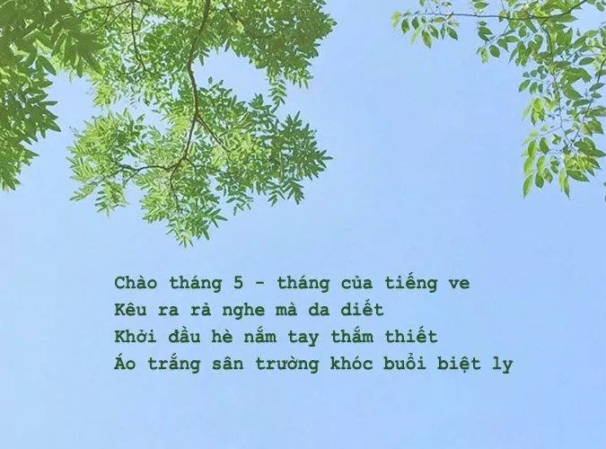 Thơ về mùa hạ hay nhất. (Ảnh: Internet)