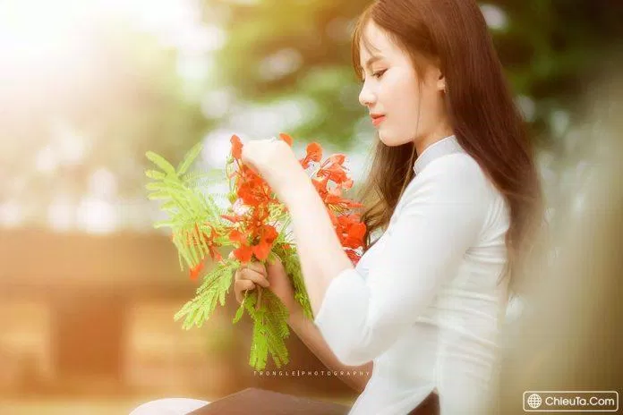 Thơ về mùa hạ hay nhất. (Ảnh: Internet)