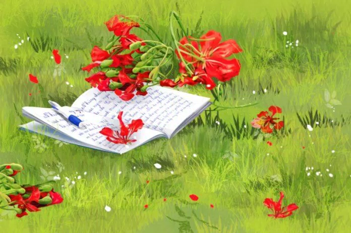 Thơ về hoa phượng vĩ hay nhất. (Ảnh: Internet)