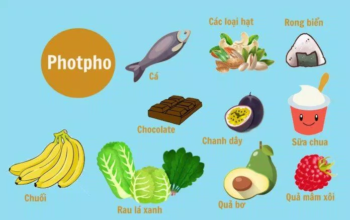 Thực phẩm giàu Phospho (Nguồn: Internet)