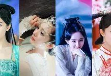 Top 10 phim Dương Mịch ( ảnh: Internet )