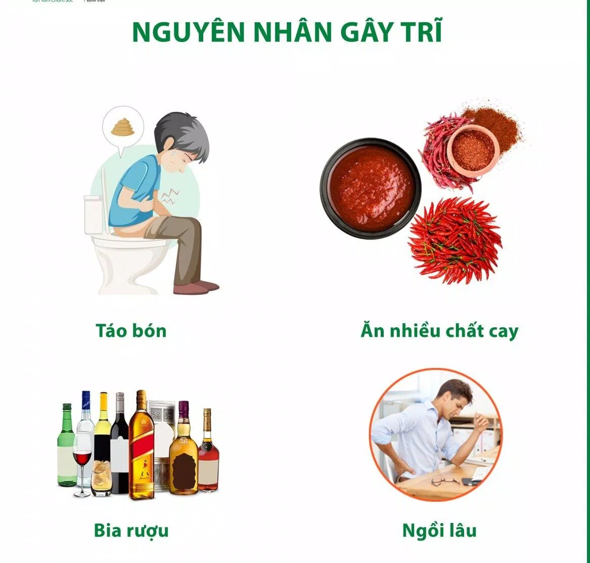 Nguyên nhân do đâu dẫn đến bệnh trĩ( Nguồn: Internet)