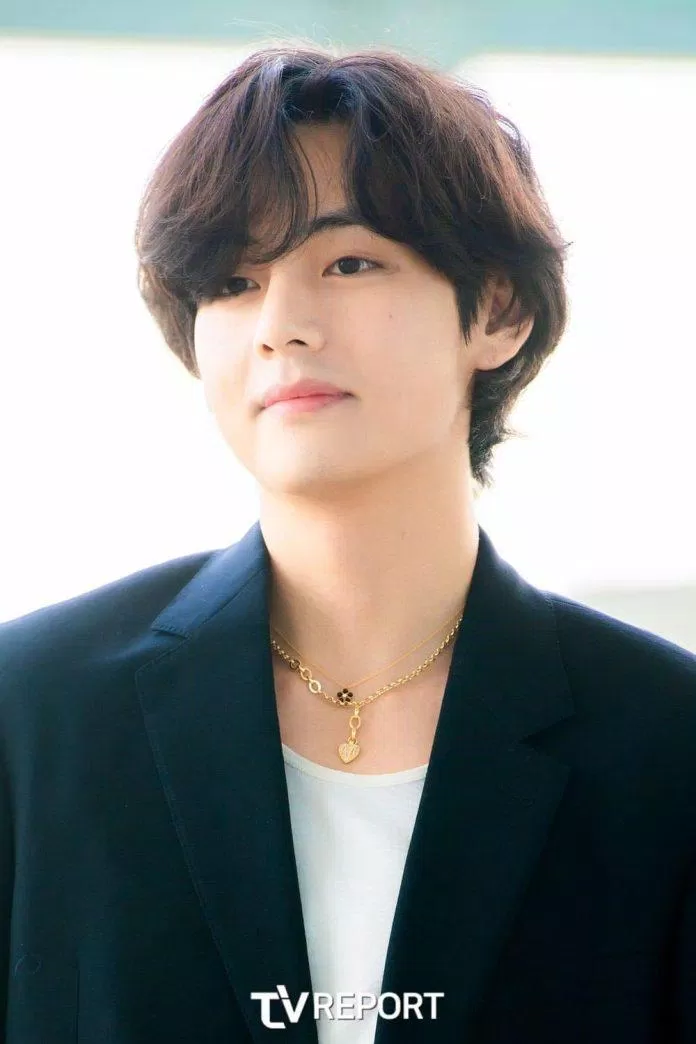 BTS V (Ảnh: Internet)