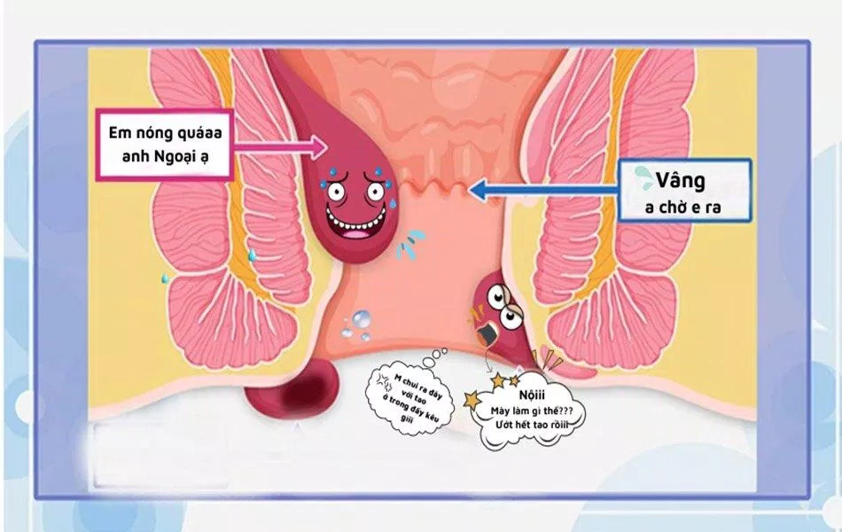 Cách điều trị và phòng ngừa trĩ( Nguồn: Internet)