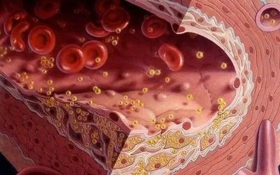 Những thực phẩm nên ăn để giảm tình trạng bệnh. (Nguồn: Internet) Những thực phẩm nên ăn để giảm tình trạng bệnh. (Nguồn: Internet)