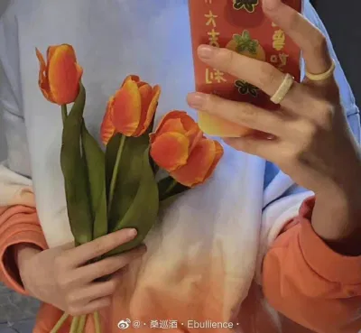 Chiếc áo gây tranh cãi (Nguồn: Internet) Chiếc áo gây tranh cãi (Nguồn: Internet)