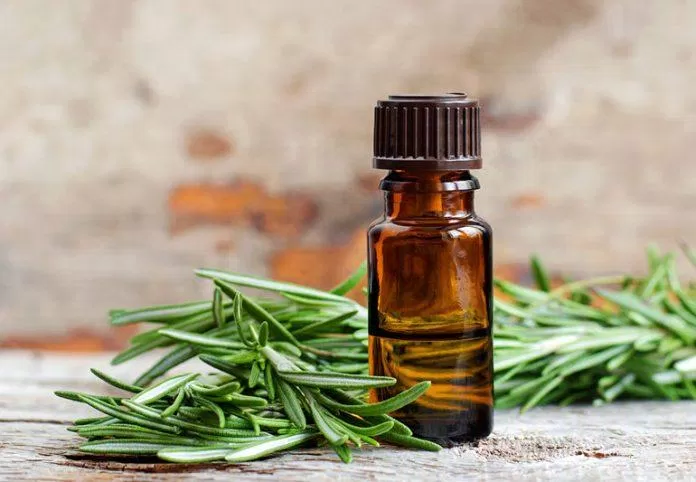 Mix tinh dầu hương thảo với các loại dầu nền như dầu jojoba, dầu castroil oil (Ảnh: Internet)