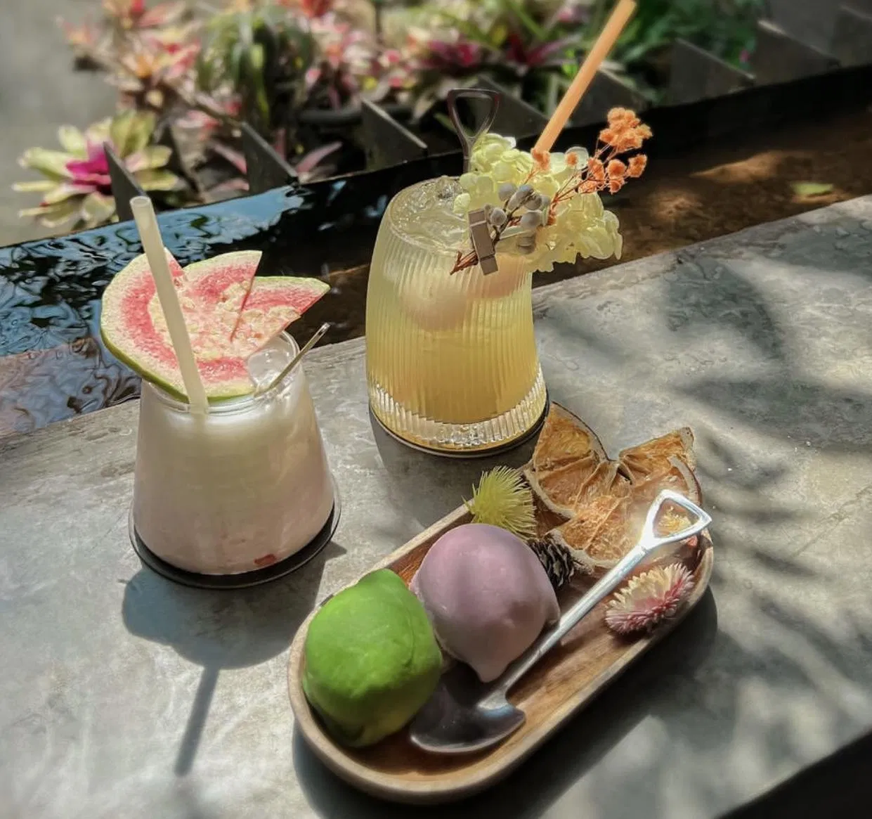 Homuda ホームだ. (Nguồn ảnh: Internet)