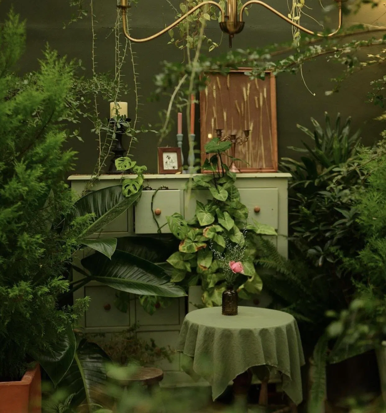 5 quán cafe đẹp Đà Lạt - thành phố ngàn hoa nhất định bạn phải ghé! Bình Minh cà phê cafe cafe đẹp Cala Lily Dalat Cây Cam Ngọt Du lịch du lịch Đà Lạt Đà Lạt đà lạt đi đâu Émai Italian Restaurant Gardens hoàng hôn Homuda ホームた JJu Coffee Khu Vườn Mùa Hè Lưng Chừng mùa hè Ngày của Nắng Coffee quán cafe quán cafe đẹp quán cafe đẹp đà lạt Sitooterie Coffee Stories thành phố thành phố đà lạt The Beti Dalat the married beans The Orange Hill thông tin Tiệm cà phê Bình Minh Ơi Tiệm cà phê Hoàng Hôn Chiều Yooberi Đà Lạt