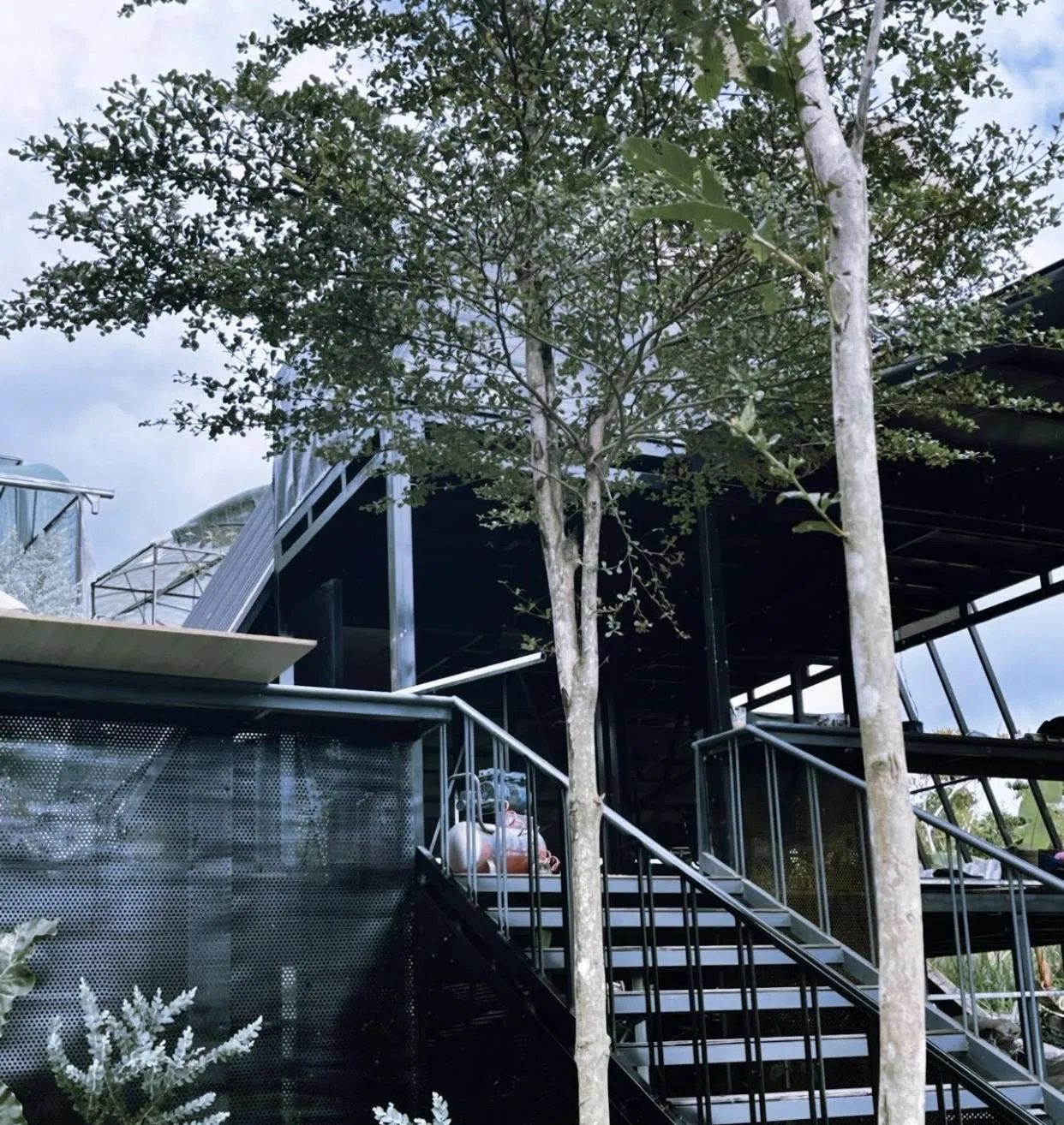 The Orange Hill. (Nguồn ảnh: Internet)