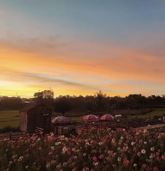 Raca Farm. (Nguồn ảnh