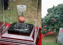 Những điều có thể bạn chưa biết về 10 loại cocktail nổi tiếng 19 Những điều có thể bạn chưa biết về 10 loại cocktail nổi tiếng 1