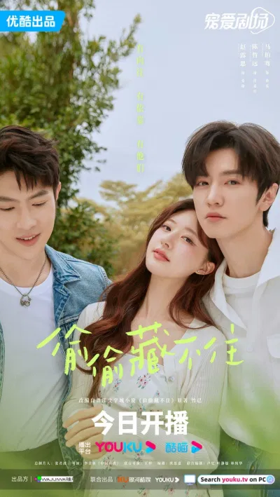 Poster Vụng Trộm Không Thể Giấu. (Ảnh: Internet)
