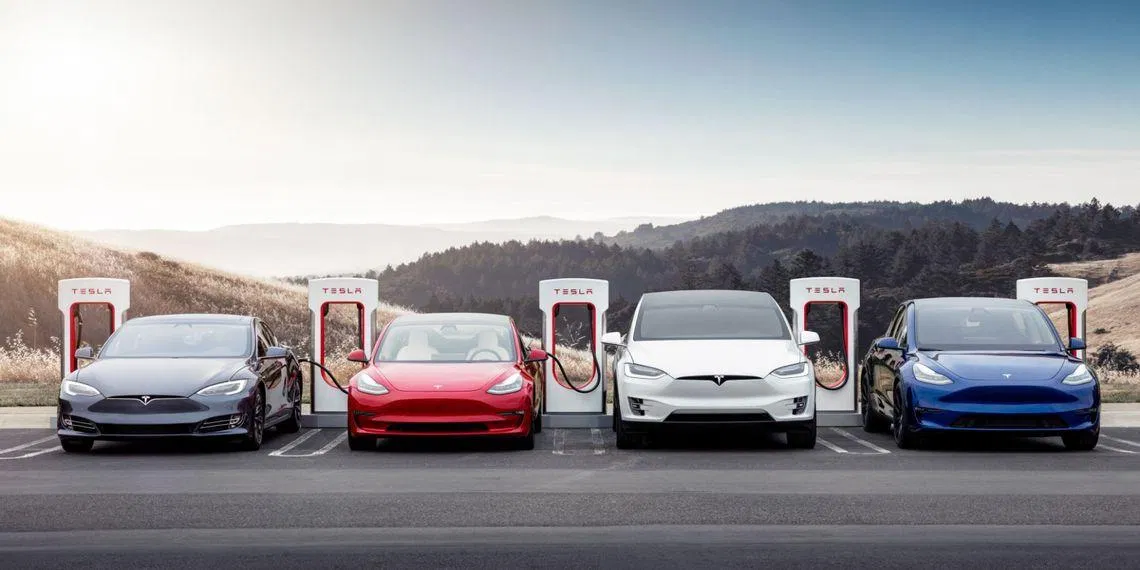 Xe điện Tesla được nhiều người lựa chọn (Ảnh: Internet)