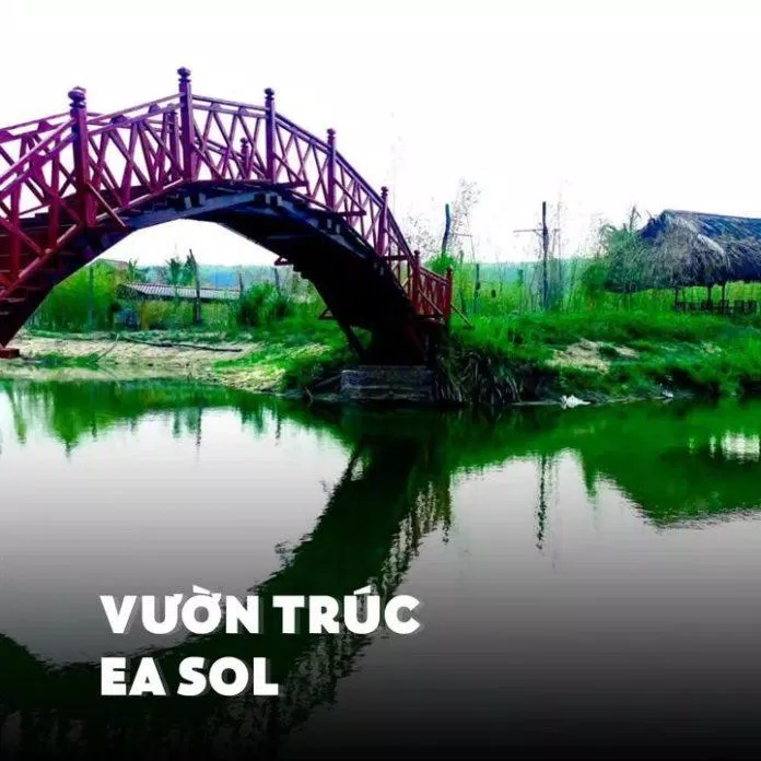 Vườn trúc Easol (Nguồn: Cộng đồng Ea H'leo) Không phải châu Âu, đây là địa điểm check-in cực chill ở Đắk Lắk - Cánh đồng quạt gió Ea Hleo Cánh đồng điện gió Cánh đồng quạt gió Ea H leo châu Âu Chi phí dự án Du lịch du lịch Đăk Lăk Du lịch Việt Nam Đắk Lắk địa điểm Ea H leo