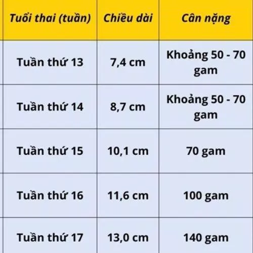 Bảng chiều cao và cân nặng thai nhi (Nguồn: Internet)