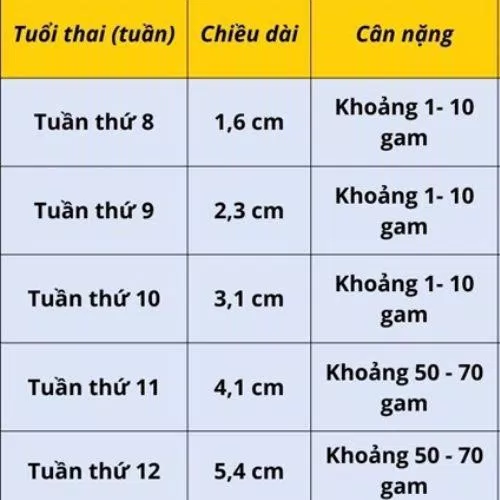 Bảng chiều cao và cân nặng thai nhi (Nguồn: Internet)