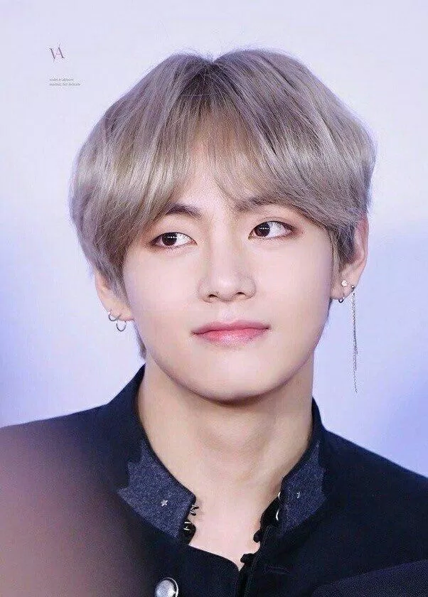 V BTS (Ảnh: Internet)